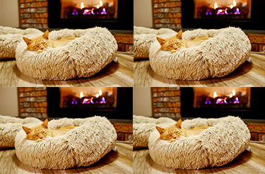 css背景画像のrepeat さくうぇぶ