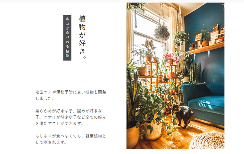 アコーディオン「always open」